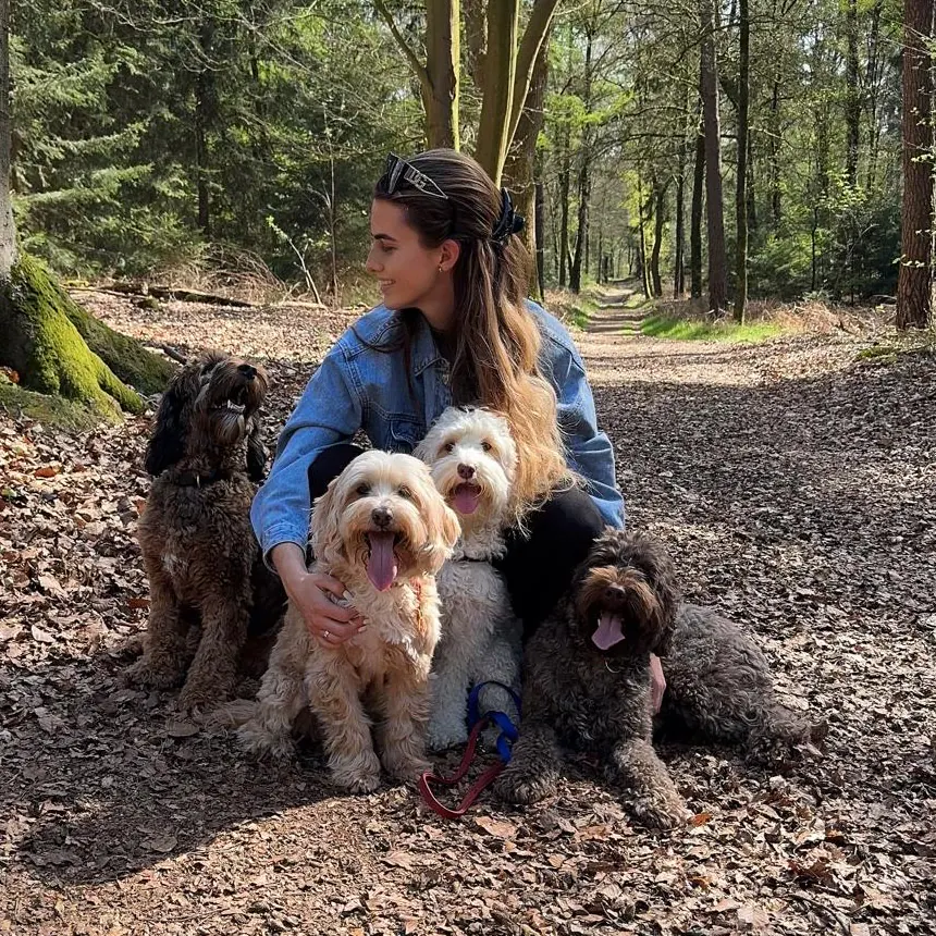 Serra in het bos met vier doodles van Geldersedoodles