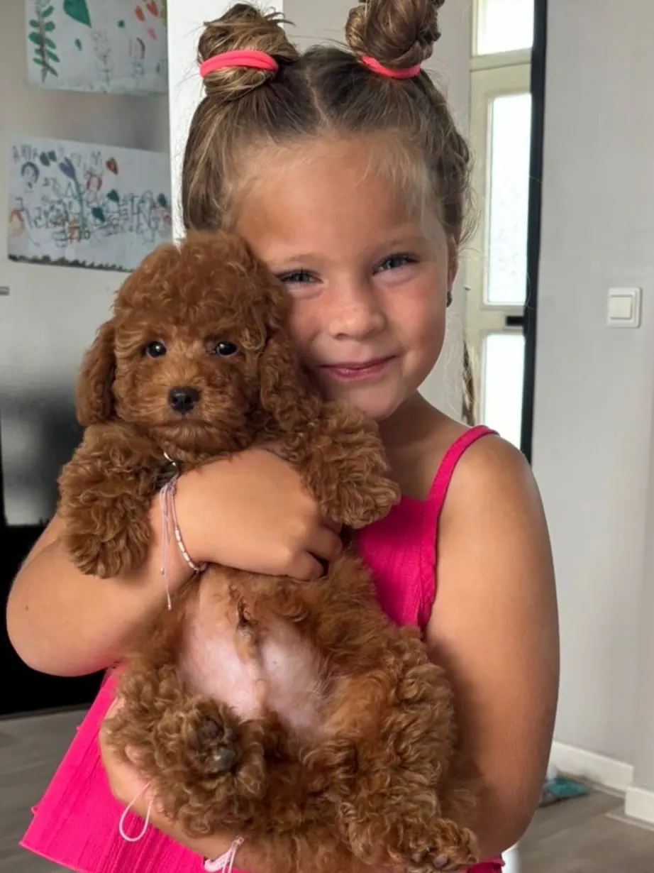 Meisje met twee knotjes knuffelt een rode pup