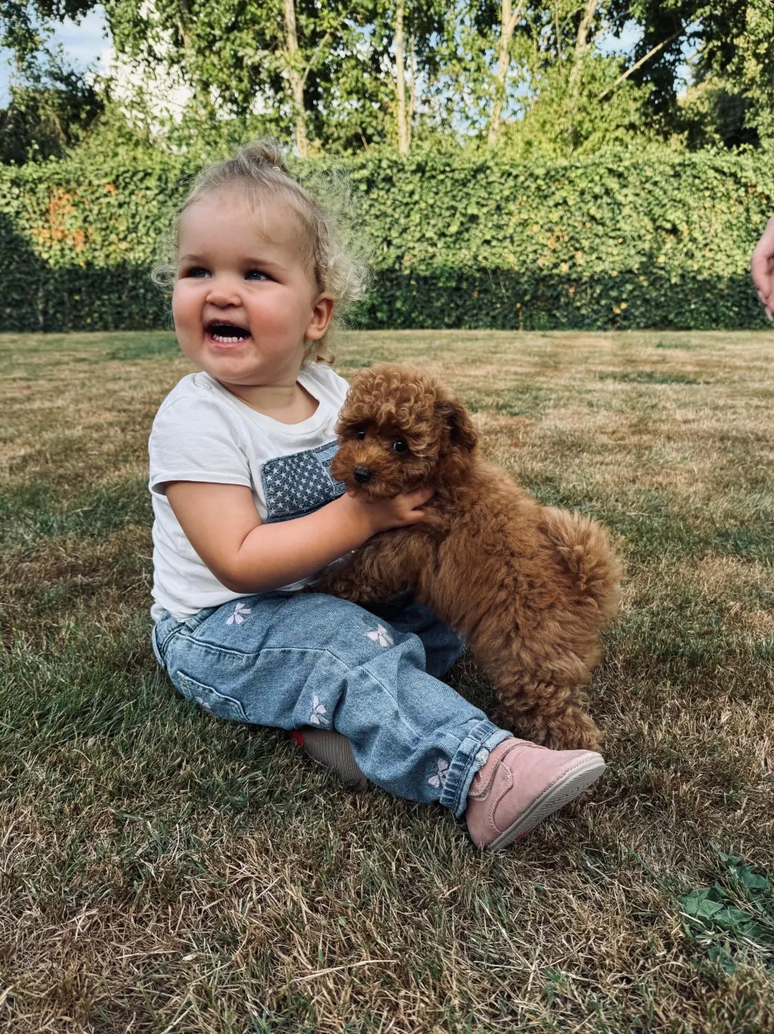 Peuter speelt in het gras met een rode pup